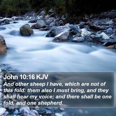 John 10:16 KJV Bible Verse Image