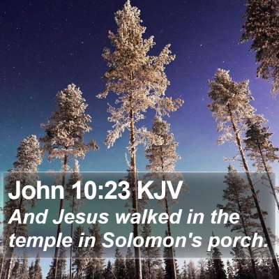 John 10:23 KJV Bible Verse Image