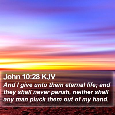 John 10:28 KJV Bible Verse Image