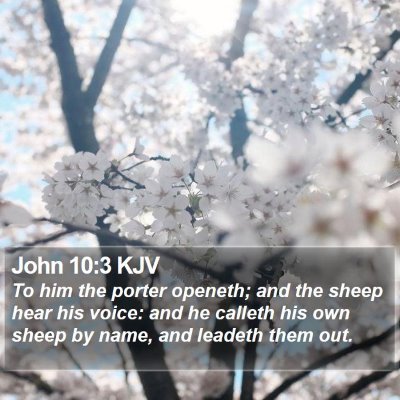 John 10:3 KJV Bible Verse Image
