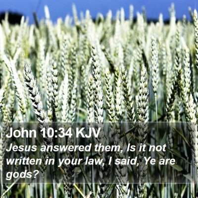 John 10:34 KJV Bible Verse Image