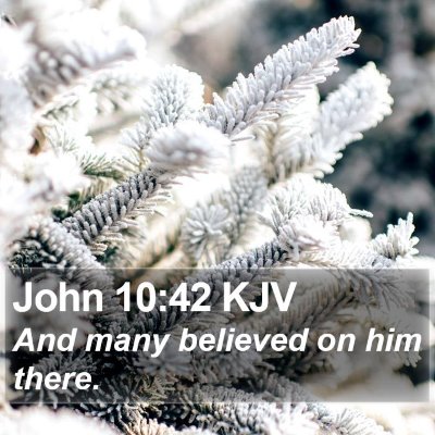 John 10:42 KJV Bible Verse Image