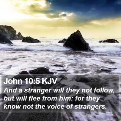 John 10:5 KJV Bible Verse Image