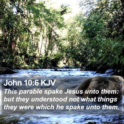 John 10:6 KJV Bible Verse Image