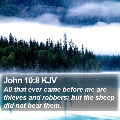 John 10:8 KJV Bible Verse Image