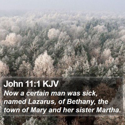 John 11:1 KJV Bible Verse Image