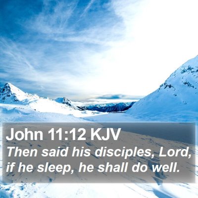 John 11:12 KJV Bible Verse Image