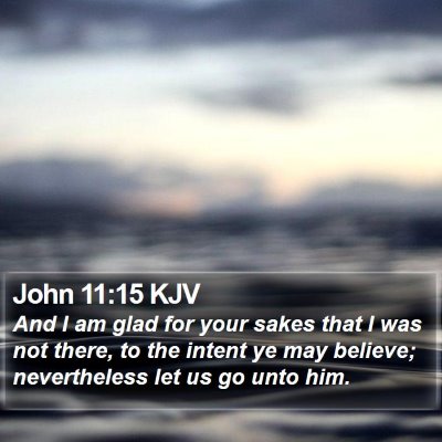 John 11:15 KJV Bible Verse Image