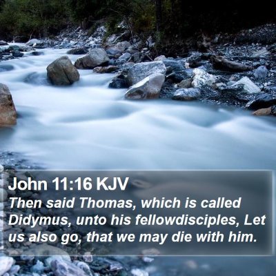 John 11:16 KJV Bible Verse Image