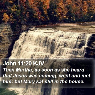 John 11:20 KJV Bible Verse Image