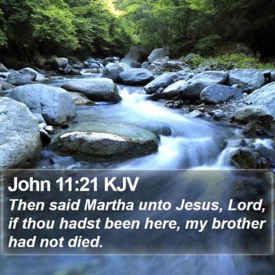John 11:21 KJV Bible Verse Image