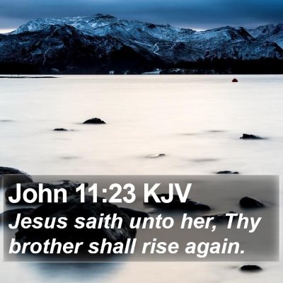 John 11:23 KJV Bible Verse Image