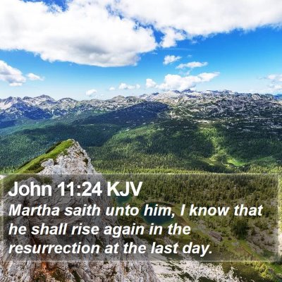 John 11:24 KJV Bible Verse Image