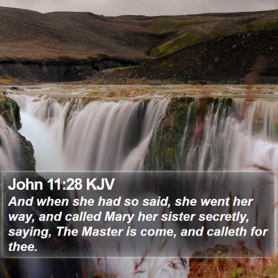 John 11:28 KJV Bible Verse Image