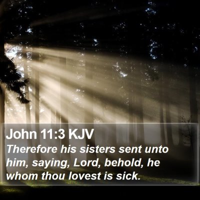 John 11:3 KJV Bible Verse Image