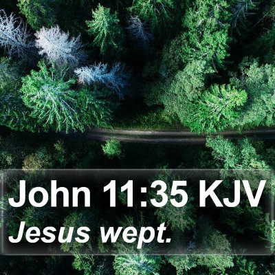 John 11:35 KJV Bible Verse Image