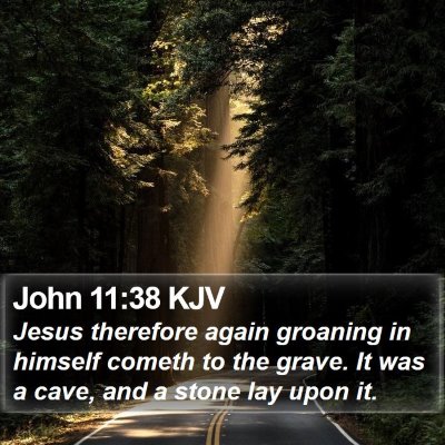 John 11:38 KJV Bible Verse Image