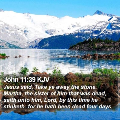John 11:39 KJV Bible Verse Image