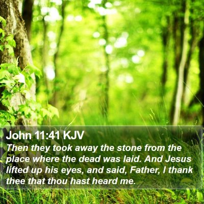 John 11:41 KJV Bible Verse Image