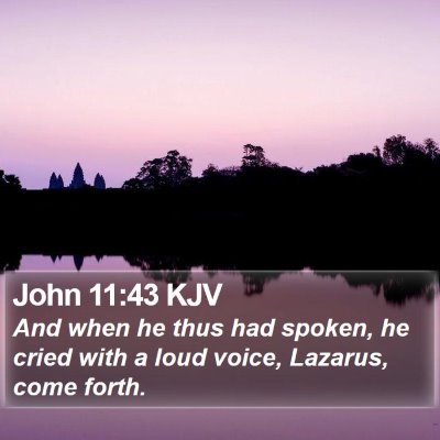 John 11:43 KJV Bible Verse Image