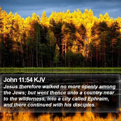 John 11:54 KJV Bible Verse Image