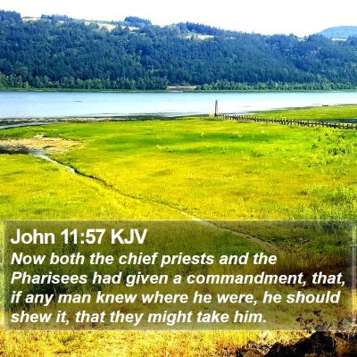 John 11:57 KJV Bible Verse Image