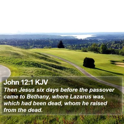 John 12:1 KJV Bible Verse Image