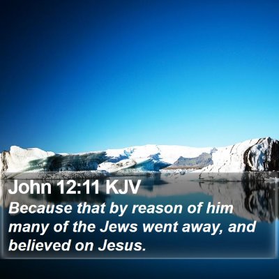 John 12:11 KJV Bible Verse Image