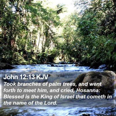 John 12:13 KJV Bible Verse Image