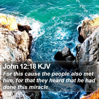 John 12:18 KJV Bible Verse Image