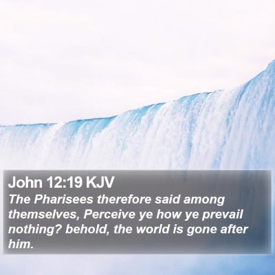 John 12:19 KJV Bible Verse Image