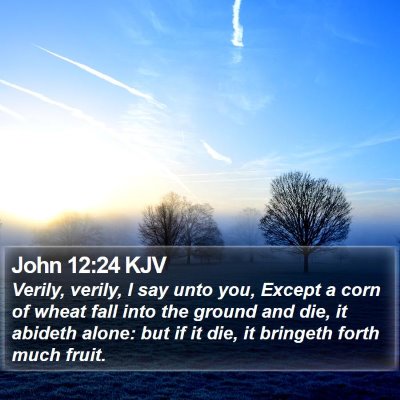 John 12:24 KJV Bible Verse Image