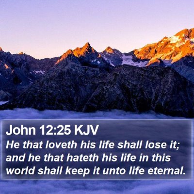 John 12:25 KJV Bible Verse Image