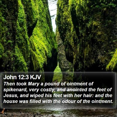 John 12:3 KJV Bible Verse Image