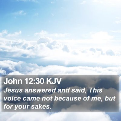 John 12:30 KJV Bible Verse Image