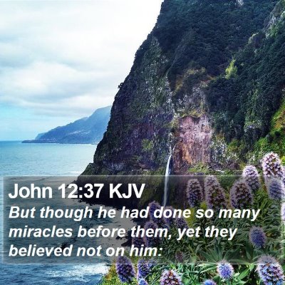 John 12:37 KJV Bible Verse Image