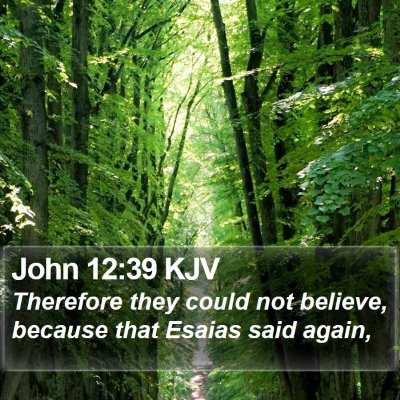 John 12:39 KJV Bible Verse Image