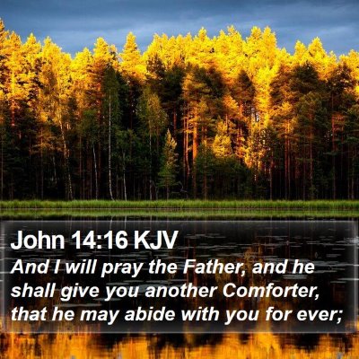 John 14:16 KJV Bible Verse Image