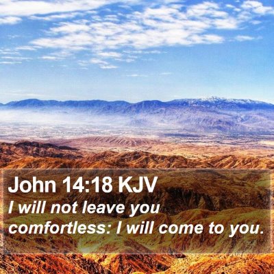 John 14:18 KJV Bible Verse Image