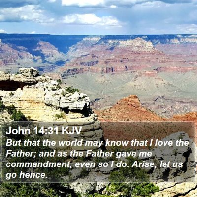 John 14:31 KJV Bible Verse Image