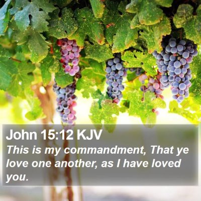 John 15:12 KJV Bible Verse Image