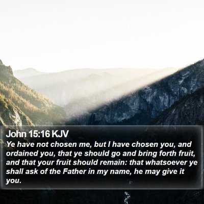 John 15:16 KJV Bible Verse Image