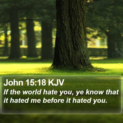 John 15:18 KJV Bible Verse Image