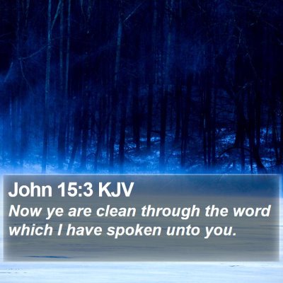 John 15:3 KJV Bible Verse Image
