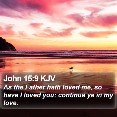 John 15:9 KJV Bible Verse Image