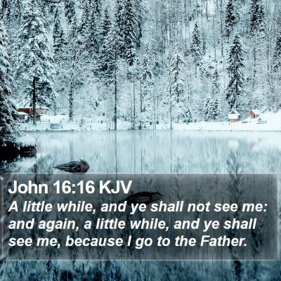 John 16:16 KJV Bible Verse Image