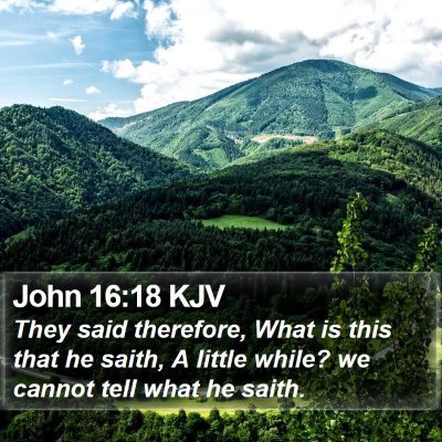 John 16:18 KJV Bible Verse Image