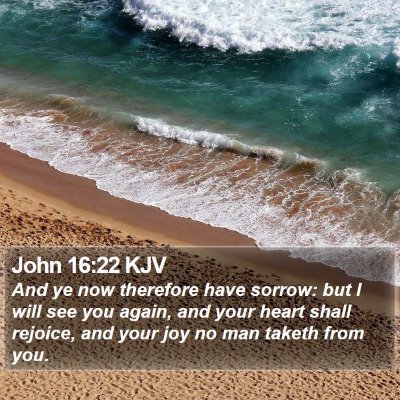 John 16:22 KJV Bible Verse Image