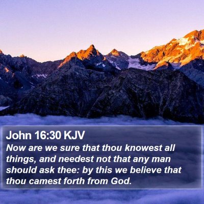 John 16:30 KJV Bible Verse Image