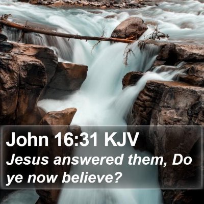 John 16:31 KJV Bible Verse Image